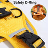 Dog Harness and Leash