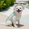 Reflective Dog Vest