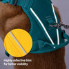 Lightweight Pet Harness and Leash Set