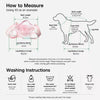 Portable Shoulder Pet Carrier Bag for Small Dogs and Cats