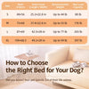 Elevated Mesh Dog Cot for Small to Large Dogs