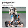 Dog Vest Harness with Leash Options