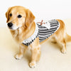 Lightweight Cotton Summer Shirt for Dogs and Cats