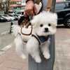 Pet Carrier Bag with Handheld and Shoulder Strap for Small Dogs & Cats