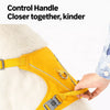 Lightweight Pet Harness and Leash Set