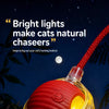Adjustable Interactive Teaser Ball Cat Toy with String