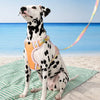 KUMFI H-Style Pet Harness