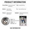 Dog Vest Harness with Leash Options