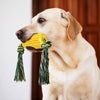Corn-Shaped TPR Dog Chew Toy