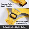 Dog Harness and Leash