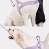 Wraparound Dog Harness