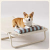 Elevated Waterproof Dog Bed