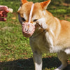 Dog Muzzle with Plastic Frame and Mesh Panel