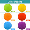 Dog Training Flying Disc Toy