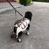 Pet Carrier Bag with Handheld and Shoulder Strap for Small Dogs & Cats