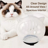 Transparent Cat Recovery Cone