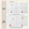 Cat Teaser Wand with Foxtail Attachments