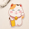 Self-Adhesive Wall-Mounted Cat Scratcher Pad