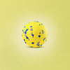 Floating Foam Ball Toy for Dogs
