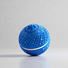 Interactive Bouncing Ball Dog Toy with Automatic or Remote Control