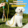 Polyester Dog Slip Lead for Training