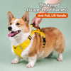 Dog Harness and Leash
