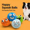 Plush Squeaky Dog Toy Ball