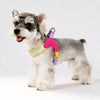 Y-Style Dog Harness and Leash Set for Small Dogs
