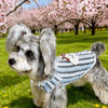 Lightweight Cotton Summer Shirt for Dogs and Cats