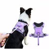 All-in-One Pet Harness and Leash Vest