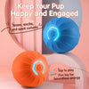Interactive Electric Bouncing Ball Toy for Dogs