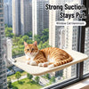 Suction-Cup Window-Mounted Cat Hammock Bed