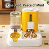 Automatic Pet Feeder with Dual Food and Water Bowls