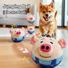 Interactive Dog Toys with Sound and Bouncing Action