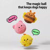 Squeaky Spiky Ball Toy for Dogs