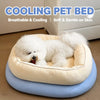Cat & Dog Foam Pet Bed