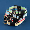 Adjustable Canvas Dog Collar