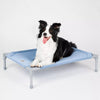 Elevated Pet Bed with Steel Frame and Washable Fabric