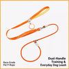 Integrated Dog Collar and Leash with Control Handle