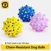 Durable E-TPU Foam Dog Ball Toy for Chewing and Play