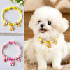 Adjustable Collar for Cats and Dogs