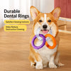 Interactive Dog Tug Ring Toy for Play and Training