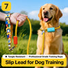 Nylon P-Chain Dog Leash for Everyday Walks and Training