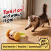 Rechargeable Electronic Cat Toy – Mouse & Toy Car Designs