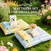 Striped Pet Bed with Removable, Washable Cushion