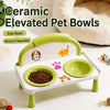 Elevated Double Ceramic Pet Bowl for Cats & Dogs