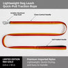 Lightweight Quick-Dry Polyester Dog Leash for Small to Large Dogs