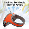 Nylon Vest-Style Dog Harness with Integrated Leash