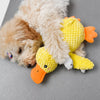 Plush Squeaky Dog Toy Collection