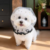 Breathable Mesh Muzzle for Small to Medium Dogs